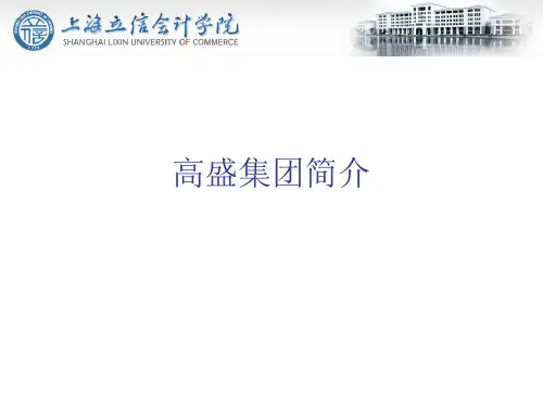 高盛集团简介