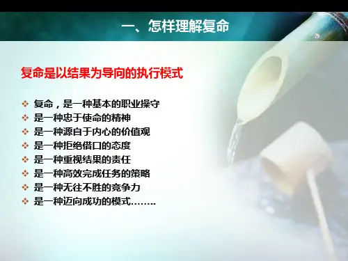 复命打造已结果为导向的执行模式