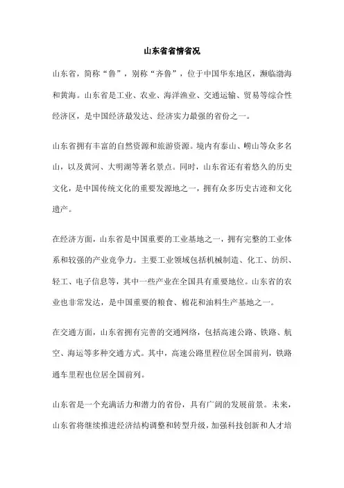 山东省省情省况
