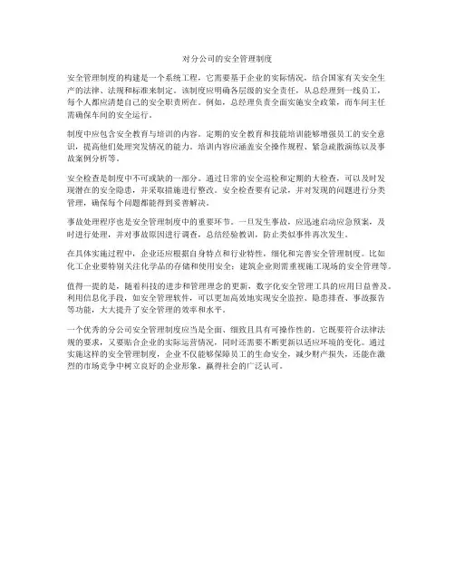 对分公司的安全管理制度