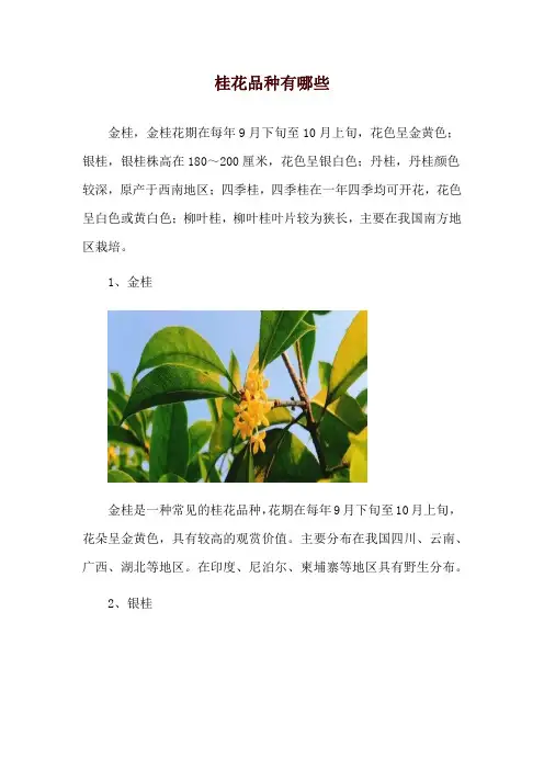 桂花品种有哪些