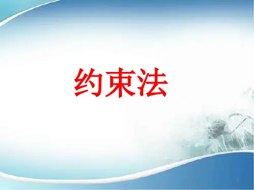 约束法PPT幻灯片课件