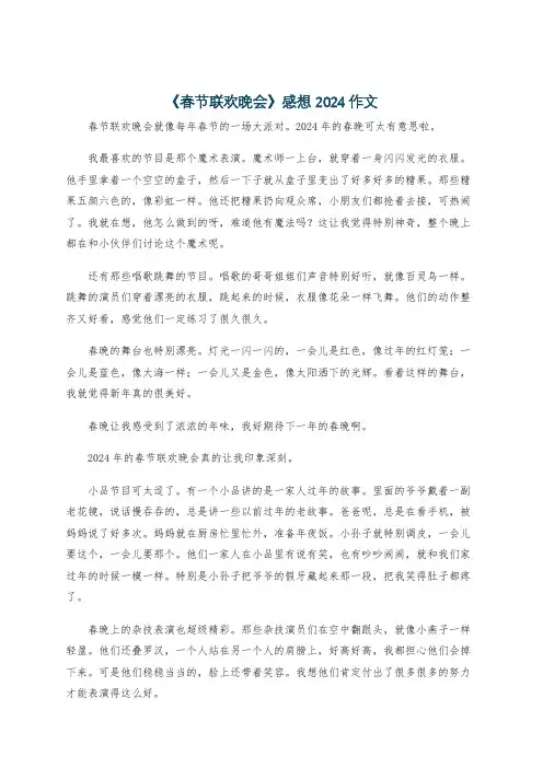 《春节联欢晚会》感想2024作文