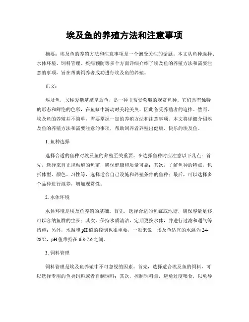 埃及鱼的养殖方法和注意事项