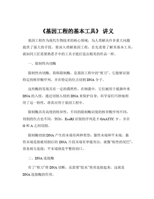 《基因工程的基本工具》 讲义