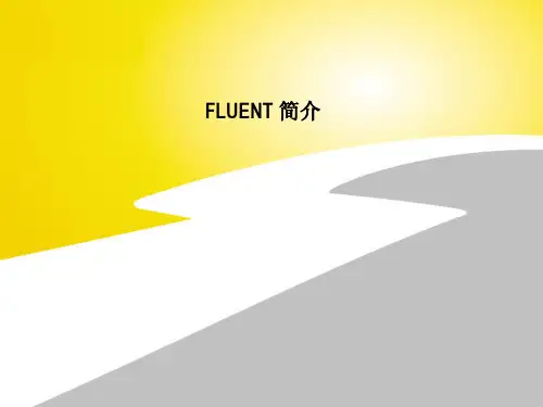 第2讲 fluent总体介绍-PPT课件