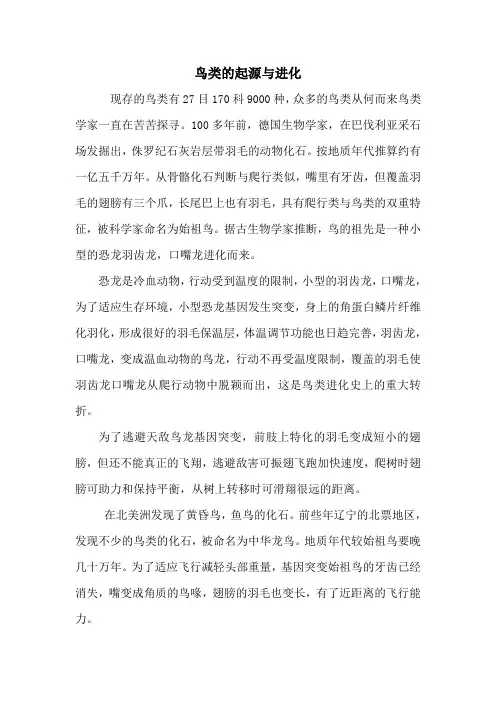 鸟类的进化与起源