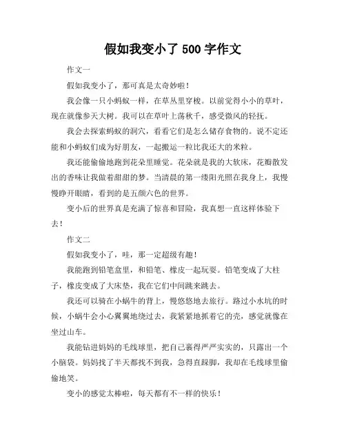 假如我变小了500字作文