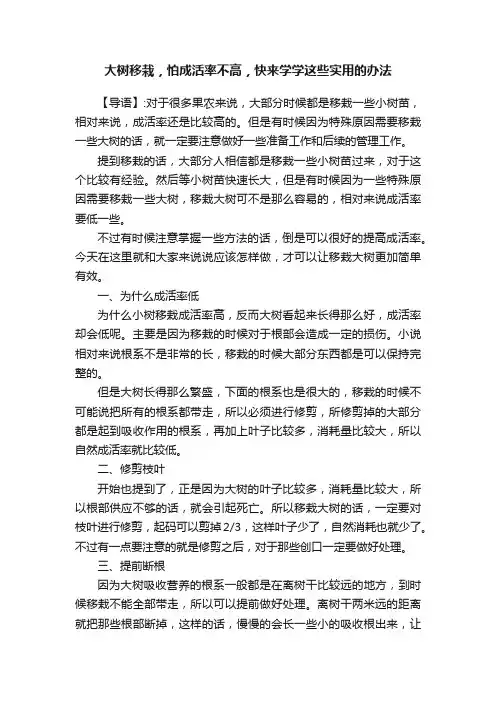 大树移栽，怕成活率不高，快来学学这些实用的办法
