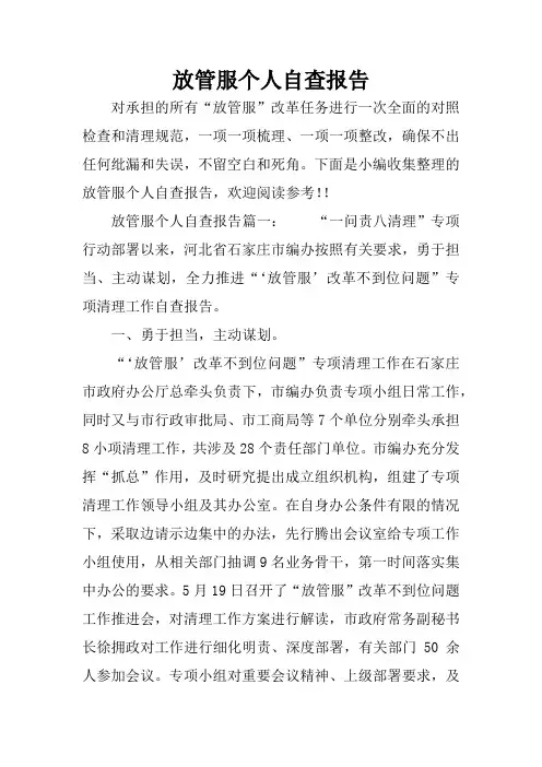 放管服个人自查报告
