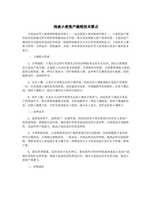 浅谈小麦高产栽培技术要点