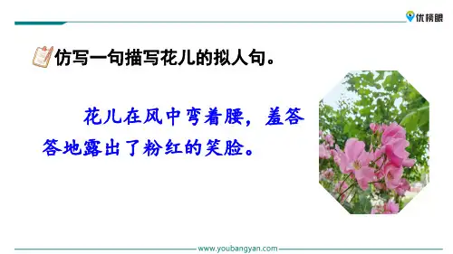 (新课标解读)2020版语文专题 三年级上册语文课件 5  琥珀新课标改编版_31-35