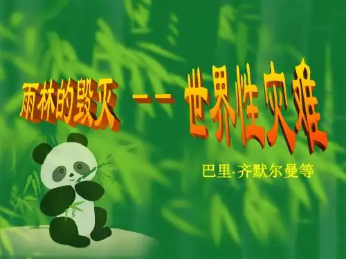 《雨林的毁灭——世界性灾难》课件