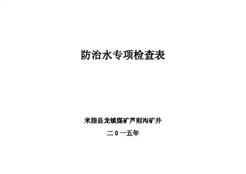 XX矿矿井防治水专项检查表