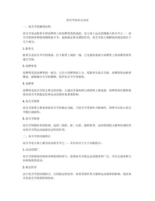 肩关节知识点总结