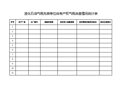 液化气充装单位气瓶自查表