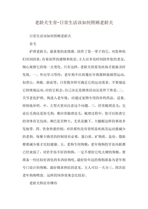 老龄犬生育-日常生活该如何照顾老龄犬