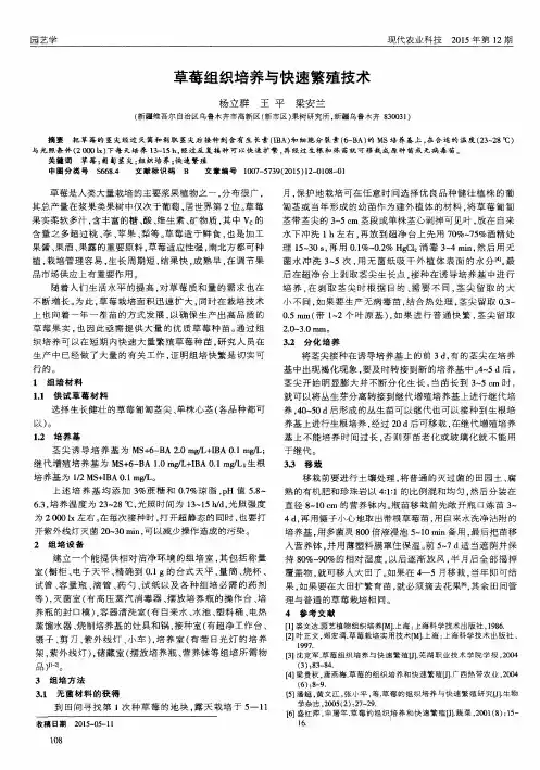 草莓组织培养与快速繁殖技术