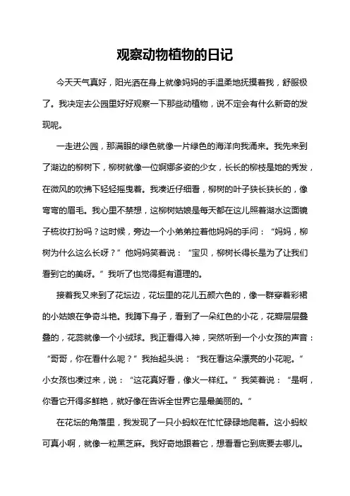 观察动物植物的日记