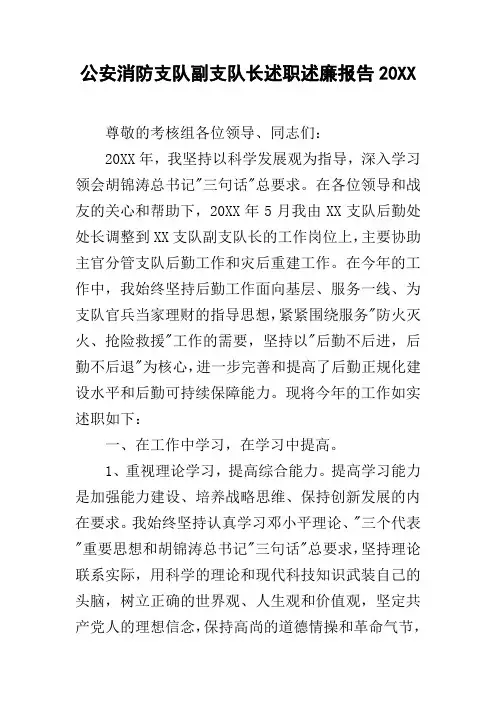 公安消防支队副支队长述职述廉报告20xx