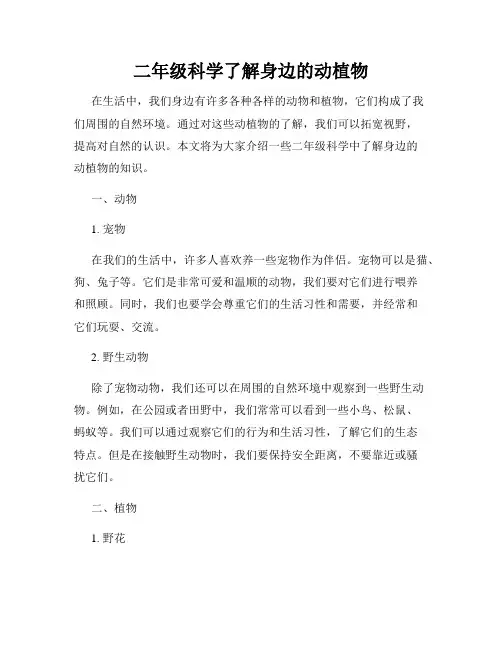 二年级科学了解身边的动植物