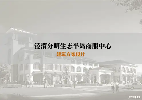泾渭分明生态半岛商服中心建筑方案设计-1121