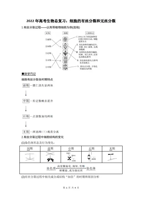 细胞的有丝分裂和无丝分裂
