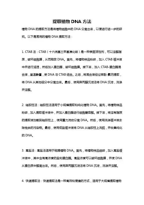 提取植物DNA方法