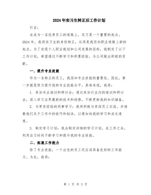 2024年实习生转正后工作计划