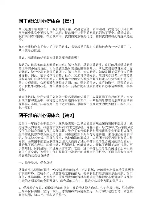 团干部培训心得体会