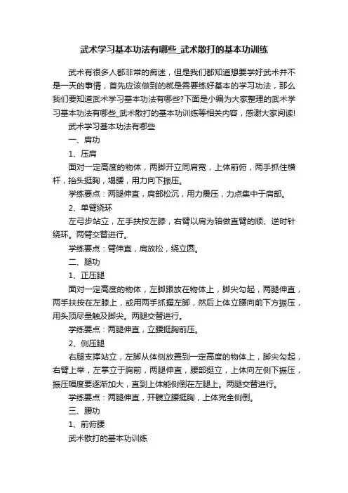 武术学习基本功法有哪些_武术散打的基本功训练