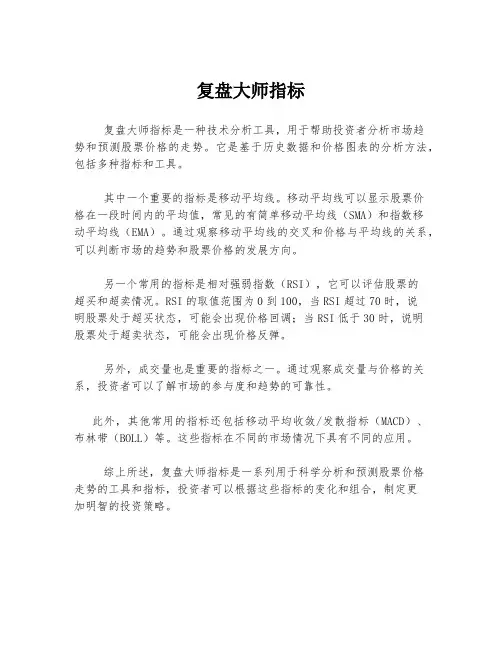 复盘大师指标