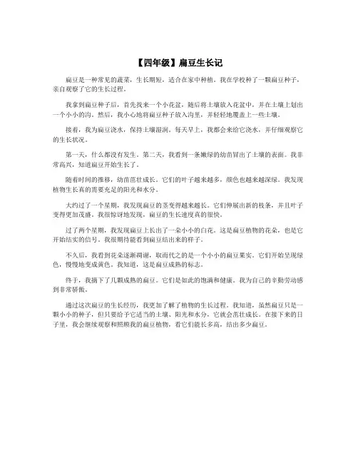 【四年级】扁豆生长记