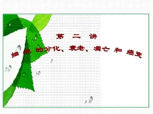 人教版教学课件新疆拜城县温州大学拜城实验高中高一生物《细胞的衰老凋亡及癌变》课件