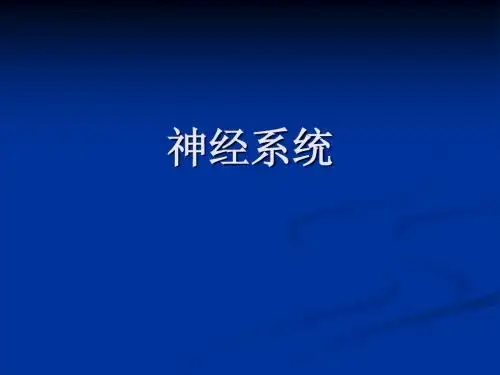 8、动物生理神经系统