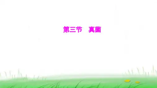 人教版七年级生物上册第二单元第三章第三节真菌课件