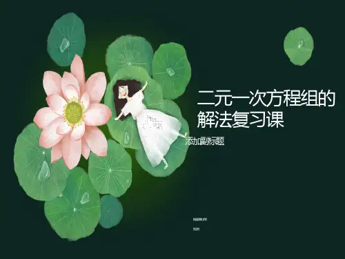 二元一次方程组的解法复习课(展示课)