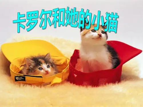 《卡罗尔和她的小猫》PPT优秀教学课件6