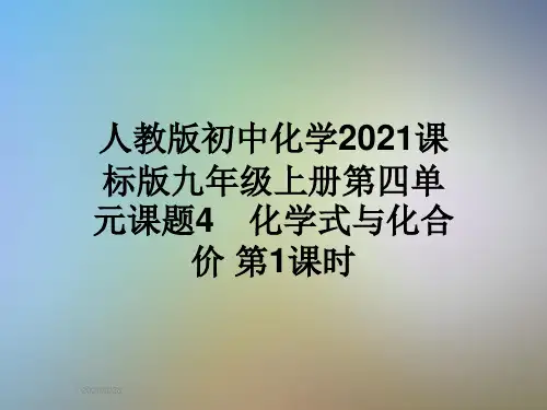 人教版初中化学2021课标版九年级上册第四单元课题4 化学式与化合价 第1课时