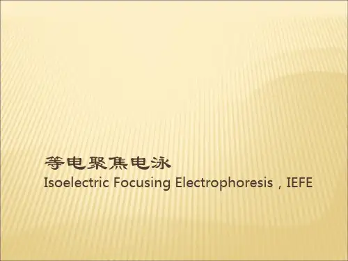等电聚焦电泳Isoelectric Focusing Electrophoresis,IEFE