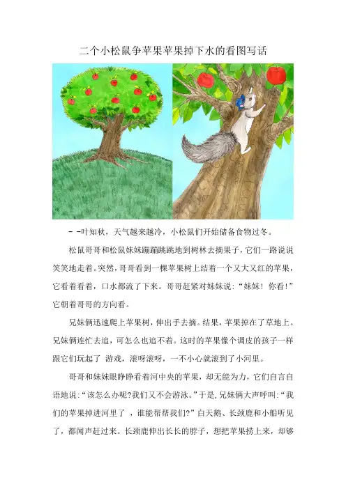 二个小松鼠争苹果苹果掉下水的看图写话