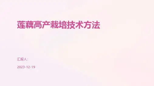 莲藕高产栽培技术方法
