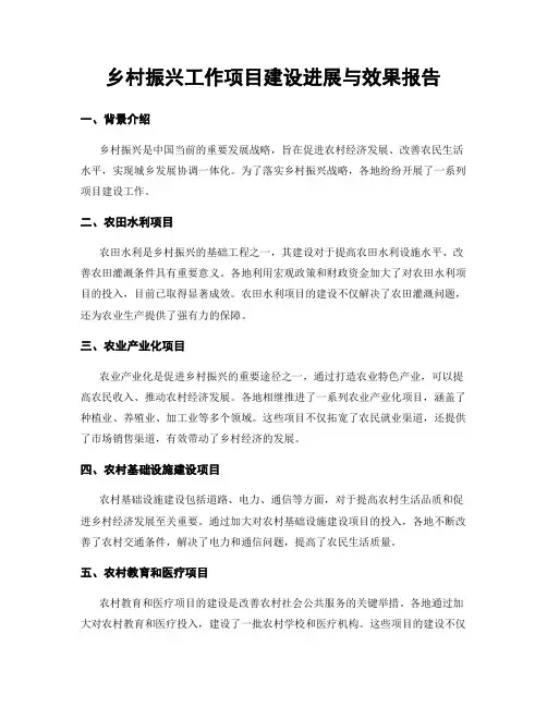 乡村振兴工作项目建设进展与效果报告