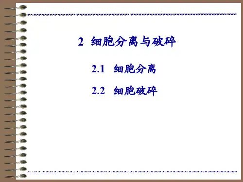 生物分离工程 第二章