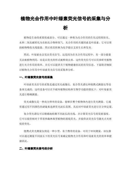 植物光合作用中叶绿素荧光信号的采集与分析