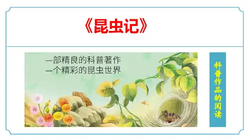 统编版语文八年级上册名著导读《昆虫记》