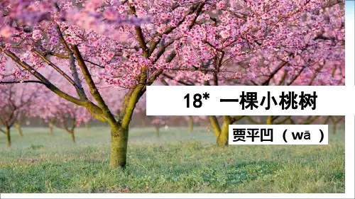 18《一棵小桃树》公开课获奖课件