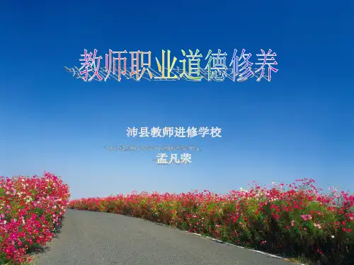 师德修养 ppt课件
