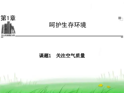 鲁科高中化学选修1课件：第1章 呵护生存环境