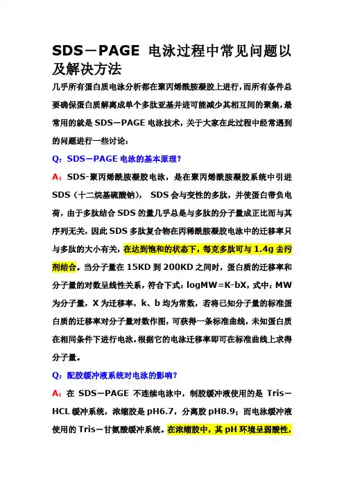 SDS-PAGE电泳过程中常见问题以及解决方法要点